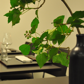 20140811 Sommermenu Mit Sake Begleitung