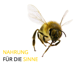 20150226 Fruhlings Degustation Von Weinkeller Riegger