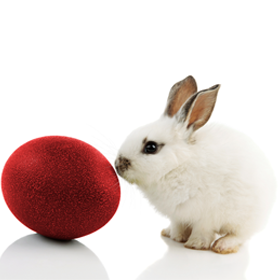 Happy kanpai zu Ostern!
