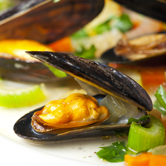 Moules im Sake-Sud