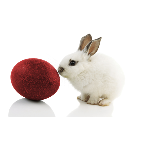 Happy kanpai zu Ostern!