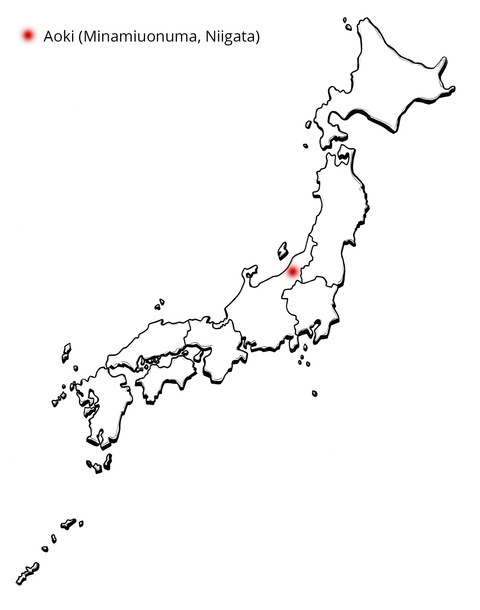 Aoki